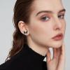 YFN Dog Stud Earrings Sterling Silver Dog Breed Earrings Jewelry Puppy Gifts for Women(Boston Terrier)