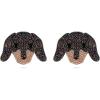 Dachshund
