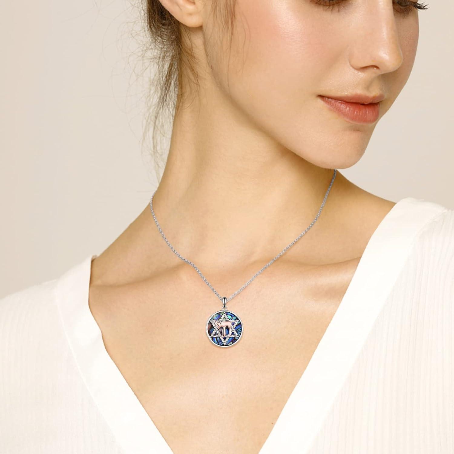 image:imageYFN Star of David Necklace Sterling Silver Jewish Christian Jewelry Gifts with 18 ChainStar of David Necklace with Abalone