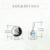YFN Hummingbird Earrings Bird Dangle 925 Sterling Silver Jewelry Gifts for Women(Silver-Hummingbird Moon Earrings)