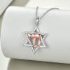 YFN Star of David Necklace Sterling Silver Jewish Christian Jewelry Gifts with 18″ Chain(Star of David Necklace)