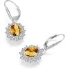 YFN Sterling Silver Created Oval Cut Birthstone Drop Dangle Women Leverback Earrings Gifts for Women Mom(November Birthstone Earrings)