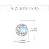 Moonstone Earrings Sterling Silver Stud Earrings Moonstone Jewelry for Women Hypoallergenic Earrings for Sensitive Ears(Moonstone)