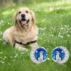 S925 Sterling Silver Stud Earrings for Women Hypoallergenic Earrings(Dog)