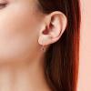 YFN 925 Sterling Silver Dangle Drop Earring Hypoallergenic Earring Jewelry Gift for Women Girls(Cardinal)