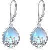 Lotus+Moonstone