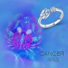 YFN 925 Sterling Silver Zodiac Sign Rings 12 Constellation Adjustable Ring Zodiac Jewelry Gift for Women(Cancer)