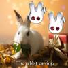 YFN Animal Moon Stud Earrings Sterling Silver Cute Animal Earrings for Women(Red Eye Bunny)