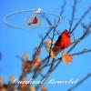 YFN Sterling Silver Bracelets Sunflower/Cardinal/Paw Print/Evil Eye Gifts for Women(Cardinal)