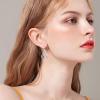 YFN Cat Earrings Sterling Silver Dangle Drop Leverback Earrings Jewelry Gifts for Women(Silver-Cat Earrings)