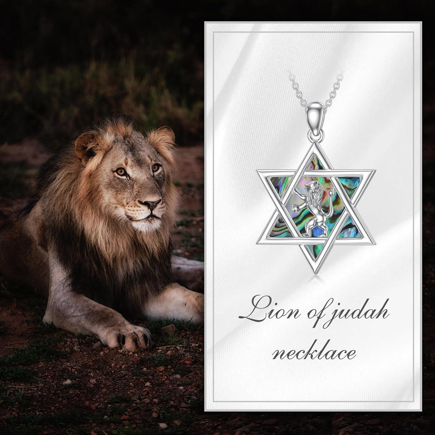 image:imageYFN Star of David Necklace Sterling Sliver Abalone Shell Tree of Life Necklace Jewish Jewelry Gifts for Women Menlion of judah