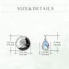 YFN Hummingbird Cremation Urn Necklace for Ashes, 925 Sterling Silver Hummingbird Urn Moonstone Jewelry for Women Men