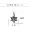YFN Star of David Necklace Sterling Sliver Abalone Shell Tree of Life Necklace Jewish Jewelry Gifts for Women Men(chai urn)
