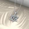 YFN Star of David Necklace Sterling Sliver Abalone Shell Tree of Life Necklace Jewish Jewelry Gifts for Women Men(lion of judah)