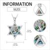 YFN Star of David Necklace Sterling Sliver Abalone Shell Tree of Life Necklace Jewish Jewelry Gifts for Women Men(lion of judah)