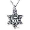 YFN Star of David Necklace Sterling Sliver Abalone Shell Tree of Life Necklace Jewish Jewelry Gifts for Women Men(chai urn)