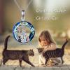 YFN Cat Necklace Sterling Silver Jewelry for Women Cat Jewelry Gifts(Blue-Cat Necklace for Women)