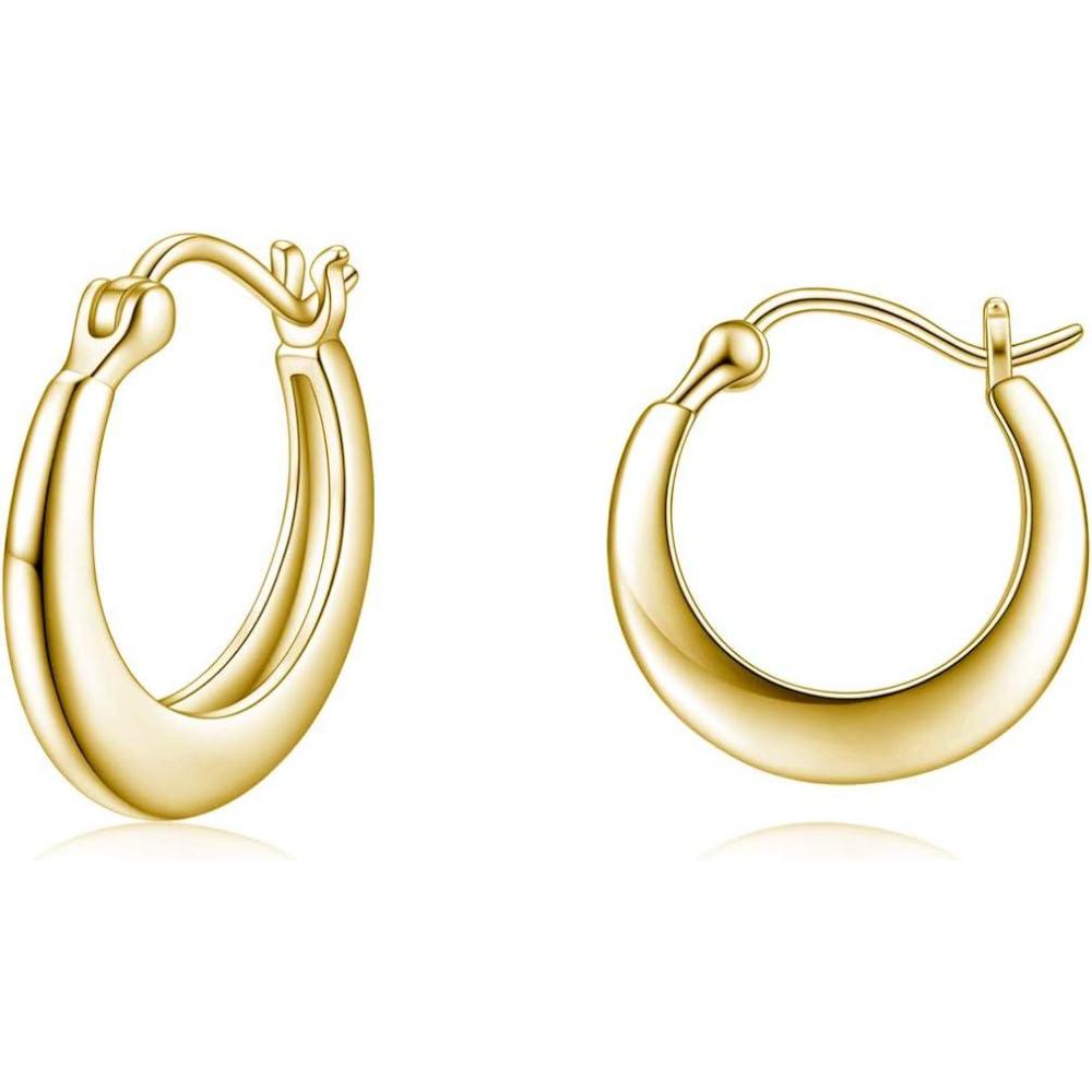 image:image925 Sterling Silver Small Hoop Earrings Hypoallergenic Earring Jewelry for Sensitive Ears Simple Gold Plated