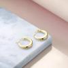 925 Sterling Silver Small Hoop Earrings Hypoallergenic Earring Jewelry for Sensitive Ears Simple Gold Plated