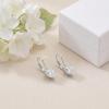 YFN Moissanite Earrings 18K White Gold Plated 925 Sterling Silver D Color VVS1 Clarity Lab-Grown Moissanite Dangle Drop Leverback Earrings Jewelry Valentine Anniversary Birthday Gifts for Women(Heart 1 CT (0.5 CT Each))